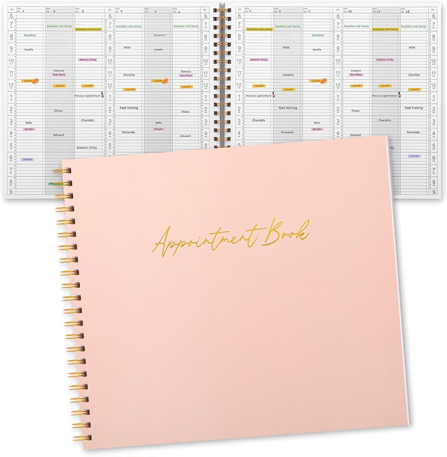 Maitys 2026 Large 6 Column Appointment Book for Salon Busine...
